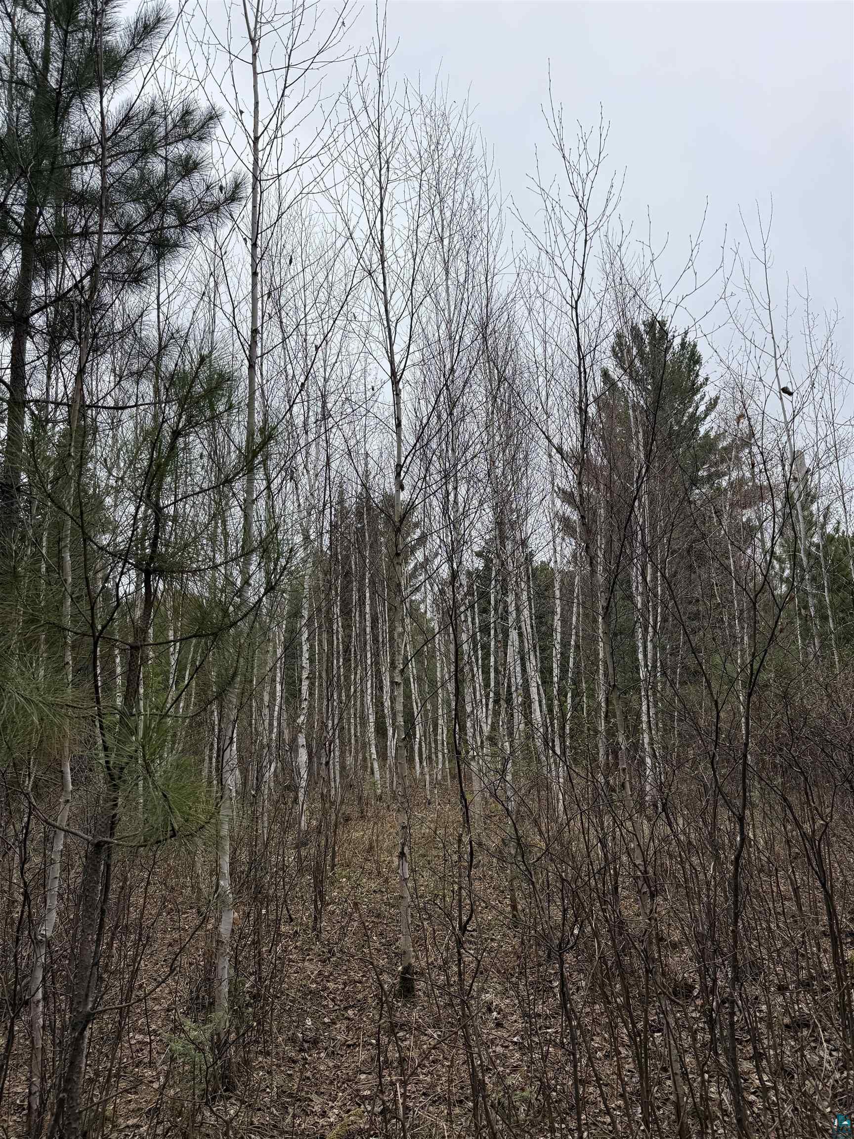 TBD Scout Camp Rd, Eveleth, MN 55734 Listing Photo  15