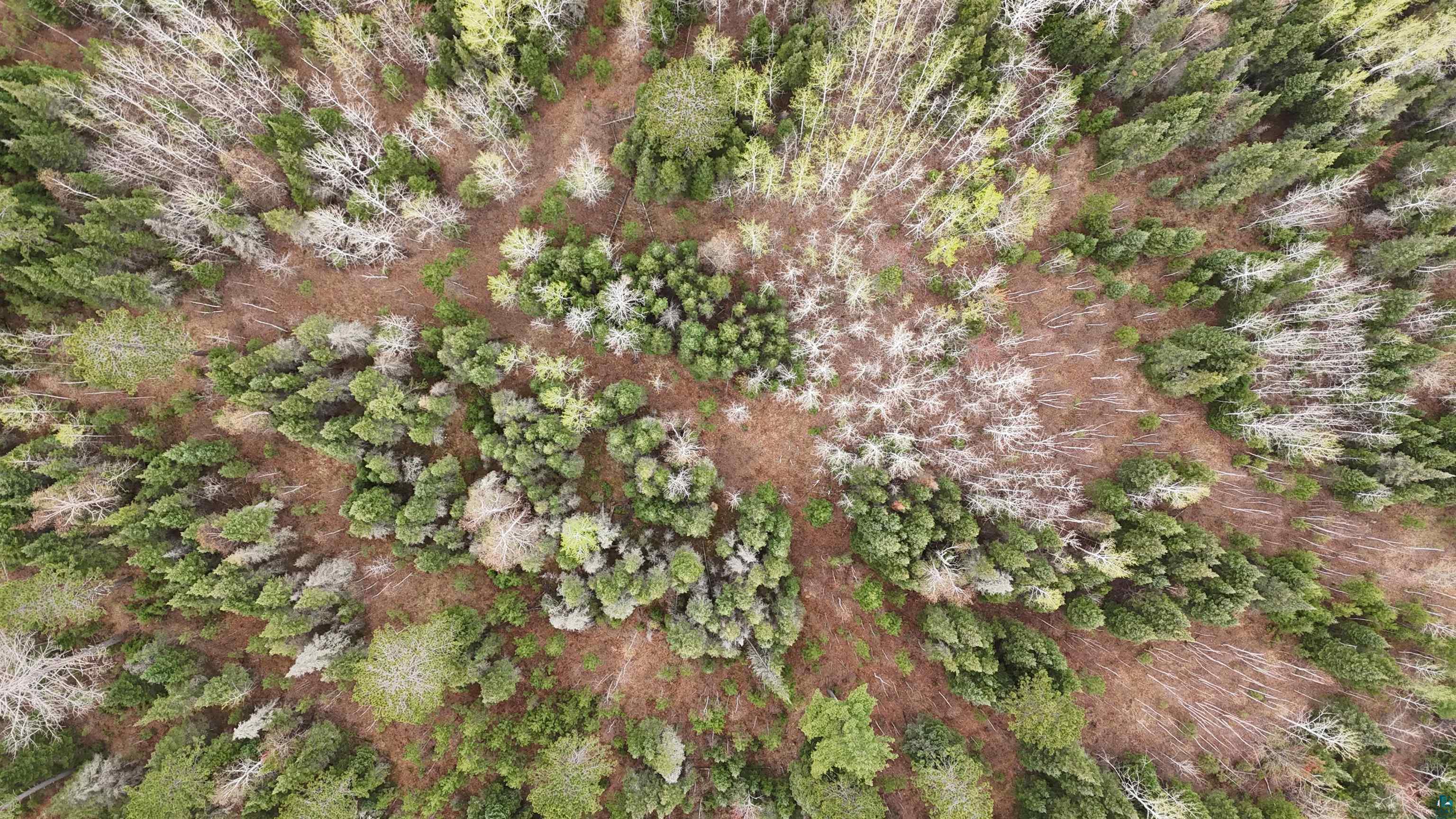 TBD Scout Camp Rd, Eveleth, MN 55734 Listing Photo  7