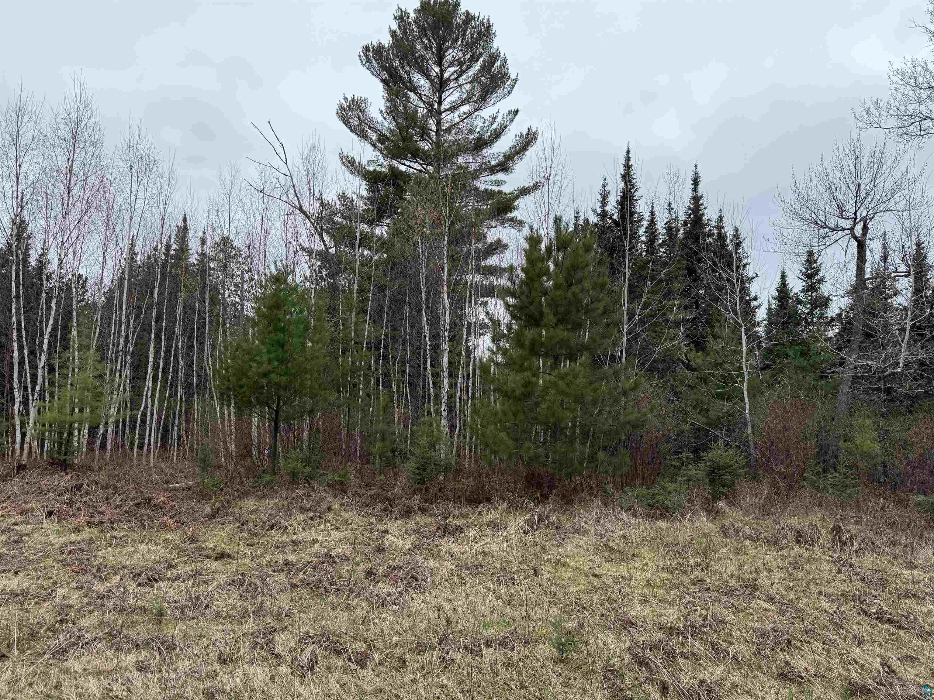TBD Scout Camp Rd, Eveleth, MN 55734 Listing Photo  8