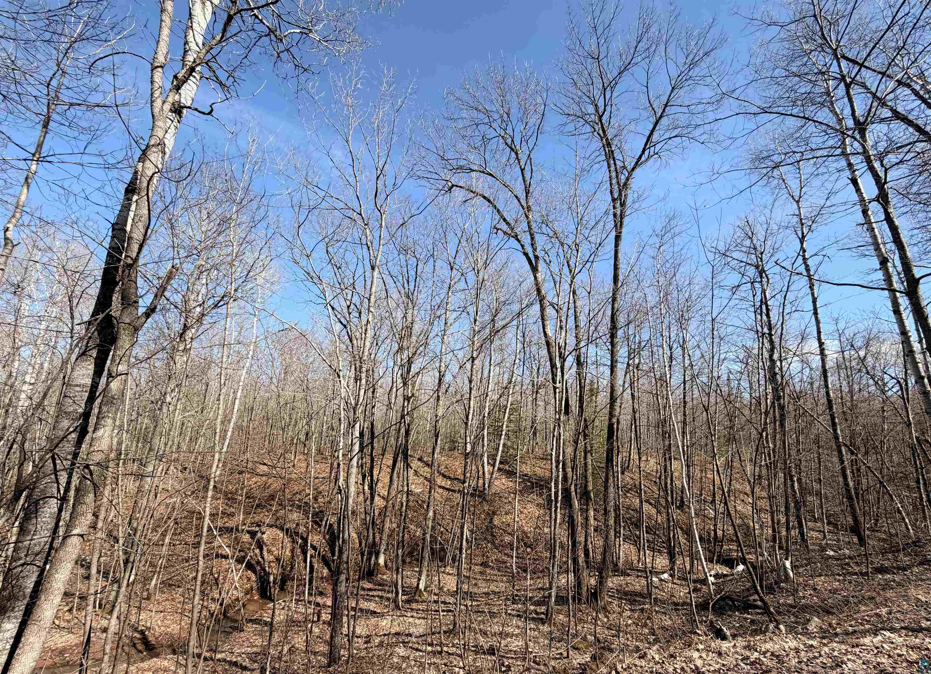 90XXX Lamont Rd, Bayfield, WI 54814 Listing Photo  3
