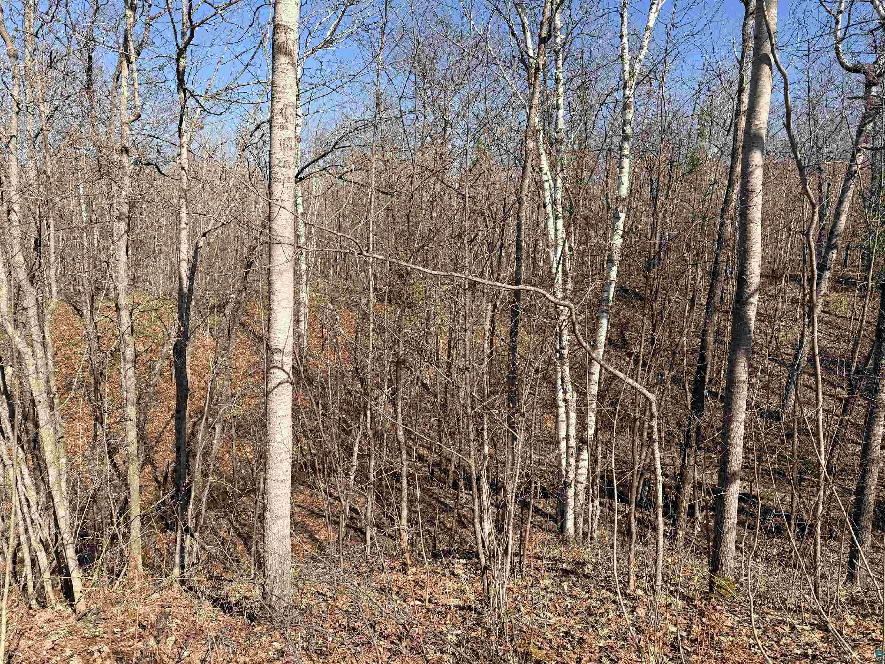 90XXX Lamont Rd, Bayfield, WI 54814 Listing Photo  6