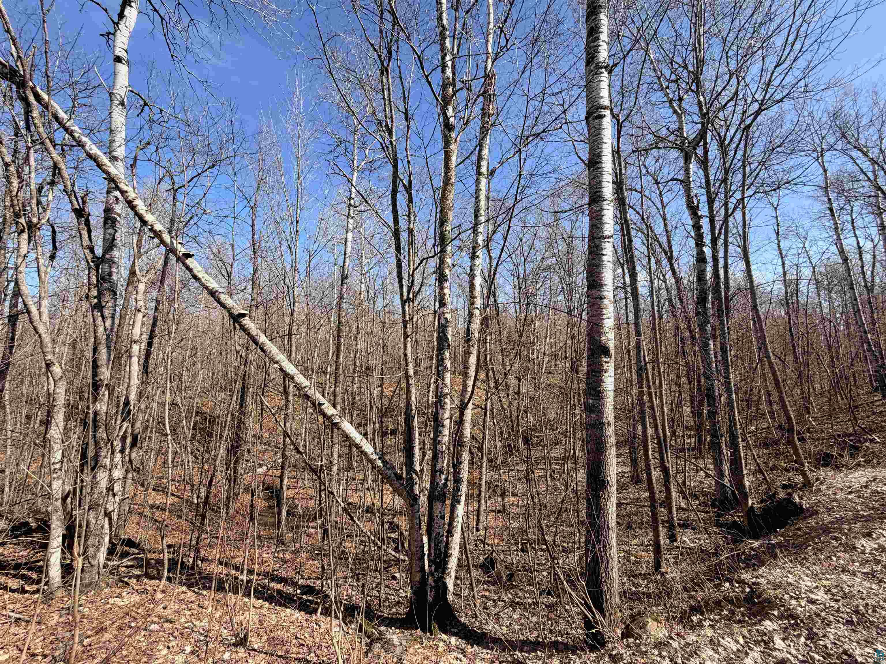 90XXX Lamont Rd, Bayfield, WI 54814 Listing Photo  7