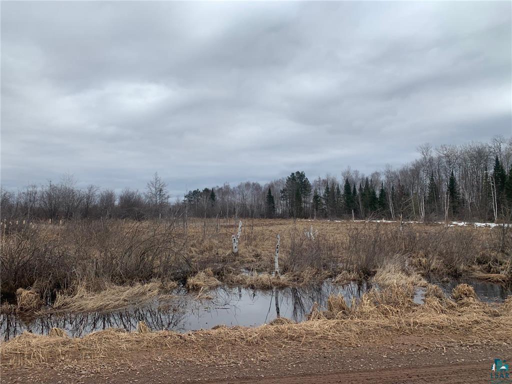 xxx Maple Dr S, Barnum, MN 55707 Listing Photo  19