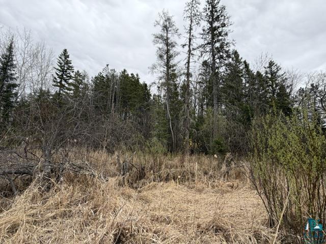 TBD 5th St SW, Cook, MN 55723-0000 Listing Photo  2