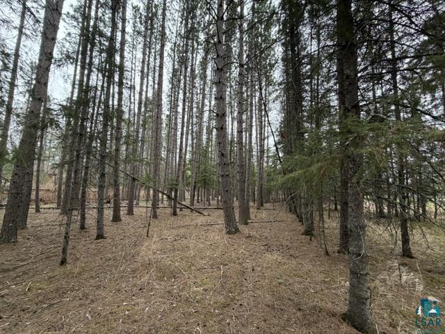 TBD 5th St SW, Cook, MN 55723-0000 Listing Photo  11