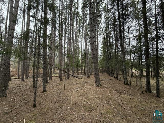 TBD 5th St SW, Cook, MN 55723-0000 Listing Photo  12