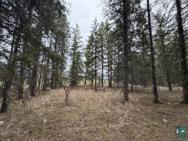 TBD 5th St SW, Cook, MN 55723-0000 Listing Photo  13