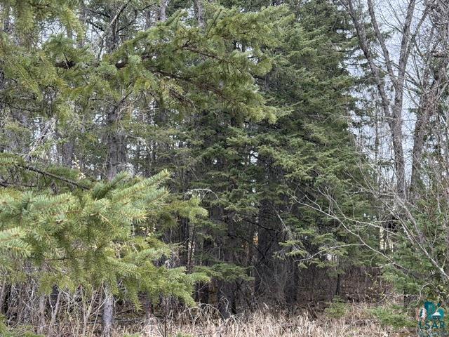 TBD 5th St SW, Cook, MN 55723-0000 Listing Photo  3
