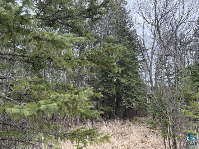 TBD 5th St SW, Cook, MN 55723-0000 Listing Photo  4
