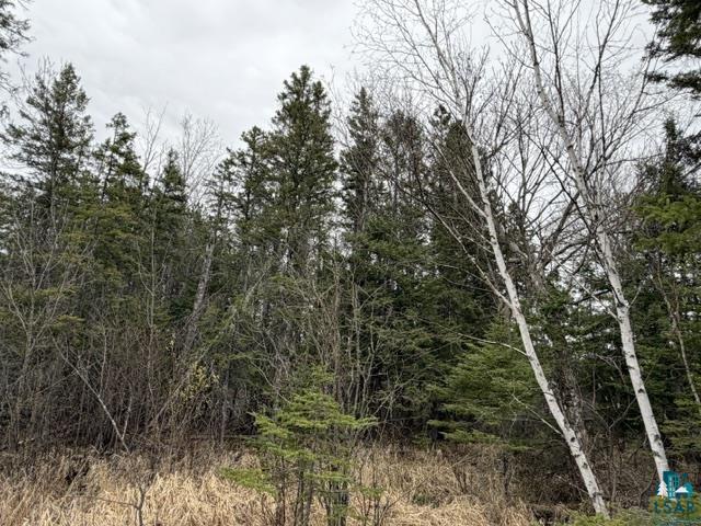 TBD 5th St SW, Cook, MN 55723-0000 Listing Photo  5
