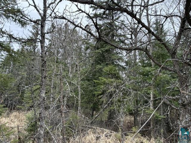 TBD 5th St SW, Cook, MN 55723-0000 Listing Photo  6