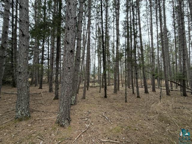 TBD 5th St SW, Cook, MN 55723-0000 Listing Photo  9