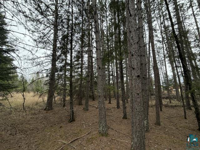 TBD 5th St SW, Cook, MN 55723-0000 Listing Photo  10
