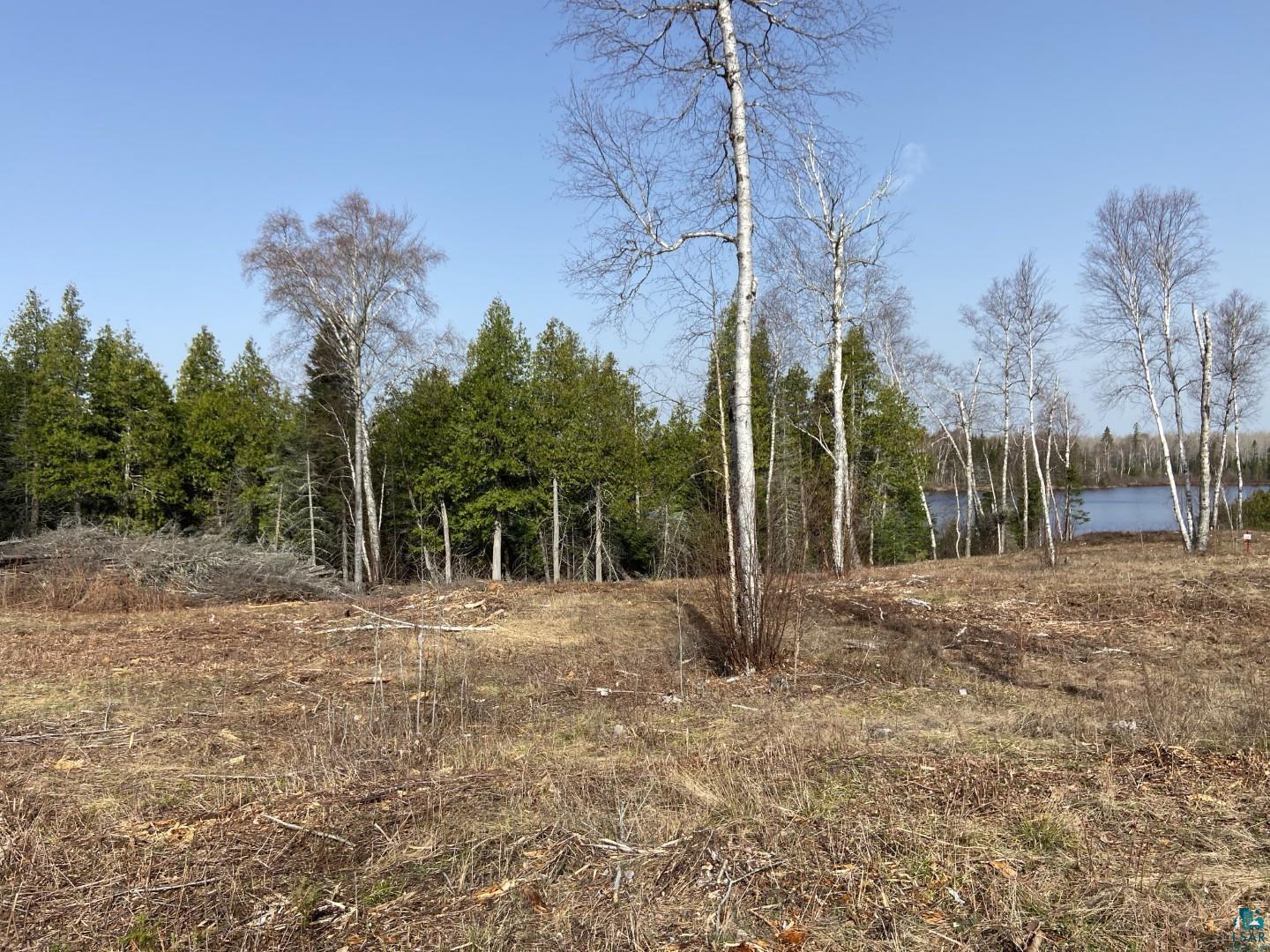 2102-1 N Bear Lake Rd, Brimson, MN 55602 Listing Photo  3