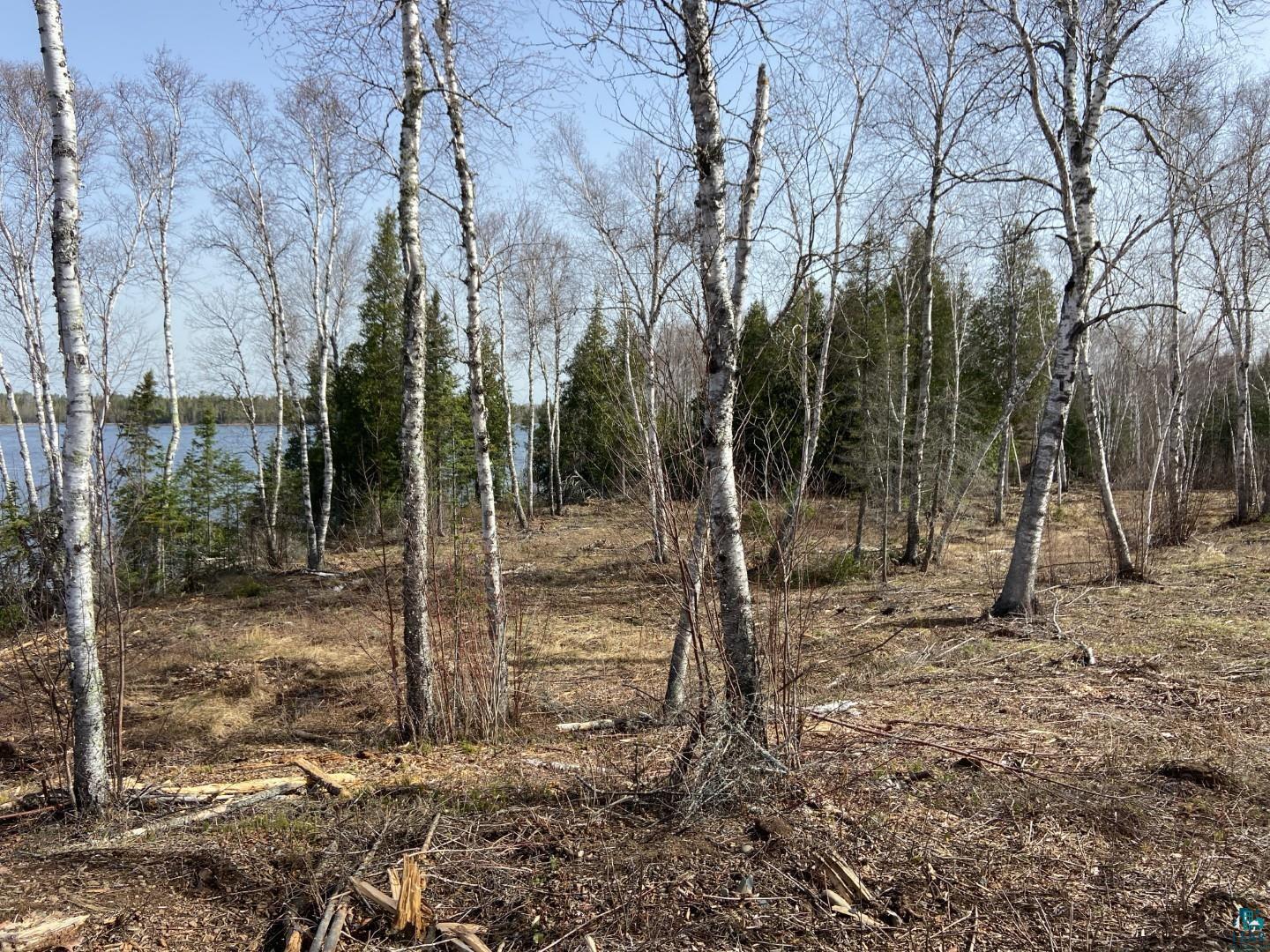 2102-2 N Bear Lake Rd, Brimson, MN 55602 Listing Photo  4