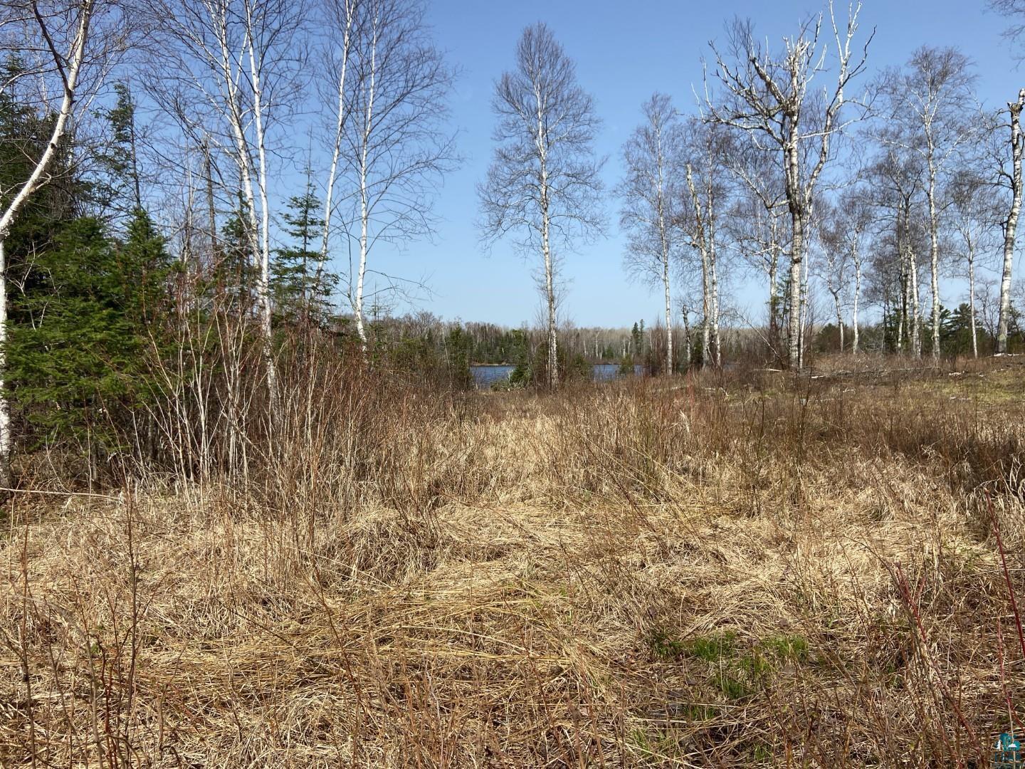 2102-3 N Bear Lake Rd, Brimson, MN 55602 Listing Photo  2