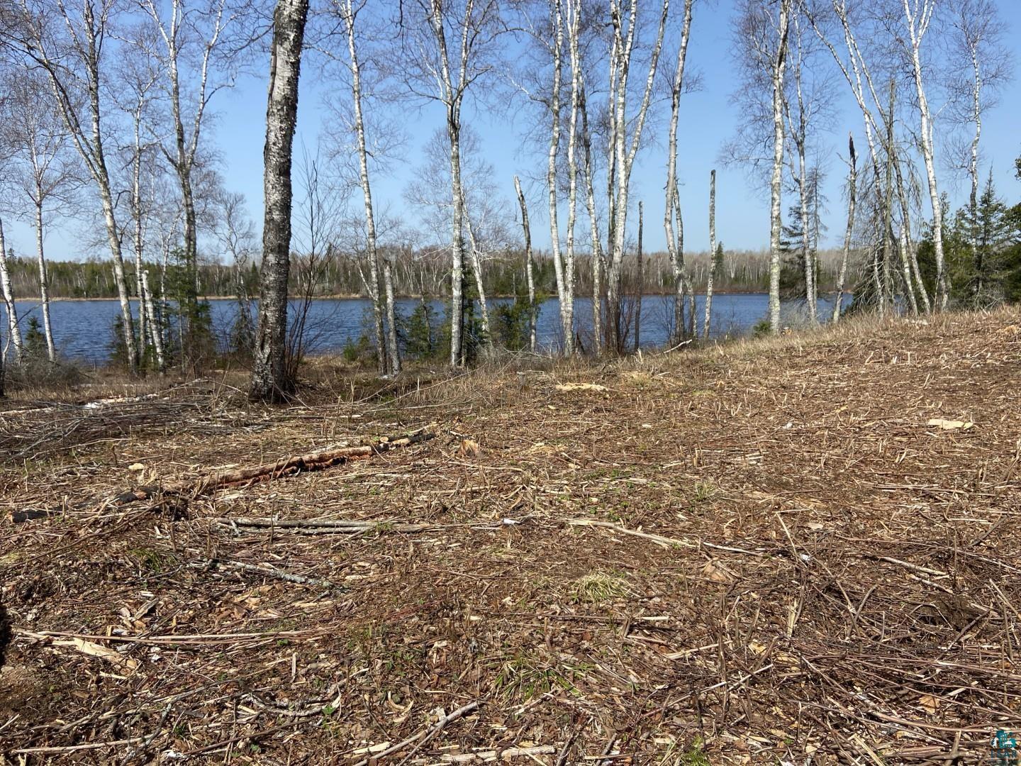 2102-4 N Bear Lake Rd, Brimson, MN 55602 Listing Photo  3