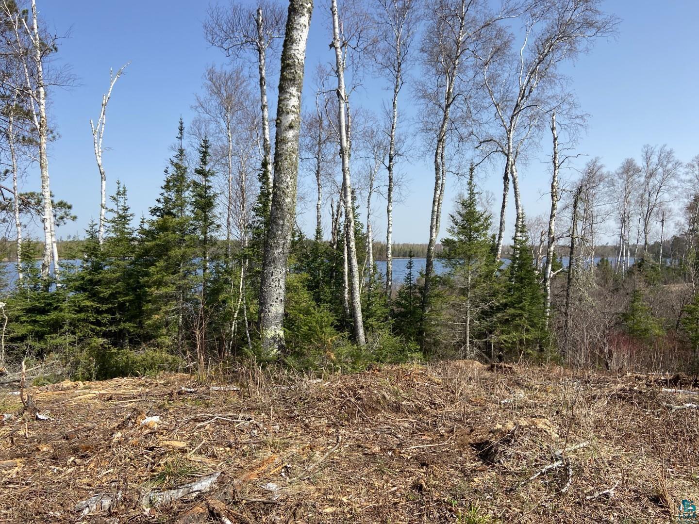 2102-4 N Bear Lake Rd, Brimson, MN 55602 Listing Photo  8