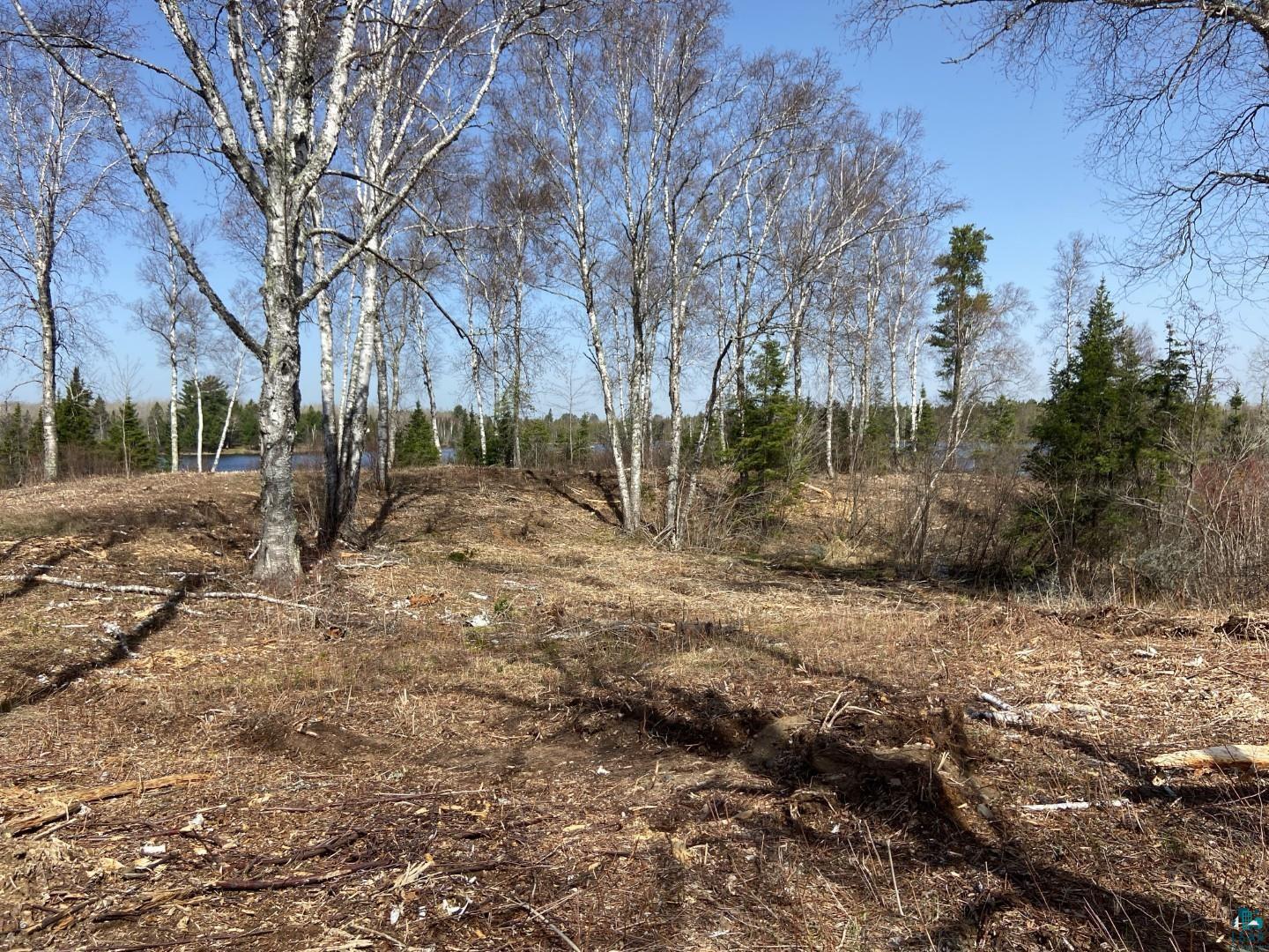 2102-5 N Bear Lake Rd, Brimson, MN 55602 Listing Photo  2
