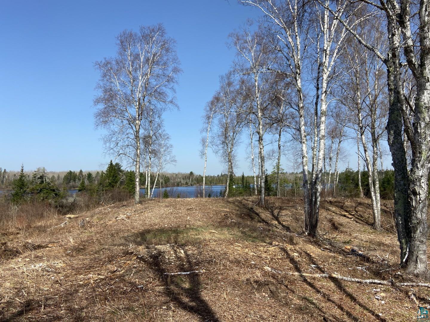 2102-5 N Bear Lake Rd, Brimson, MN 55602 Listing Photo  3