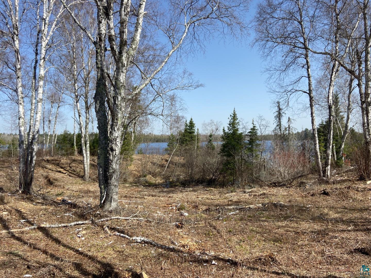 2102-5 N Bear Lake Rd, Brimson, MN 55602 Listing Photo  4