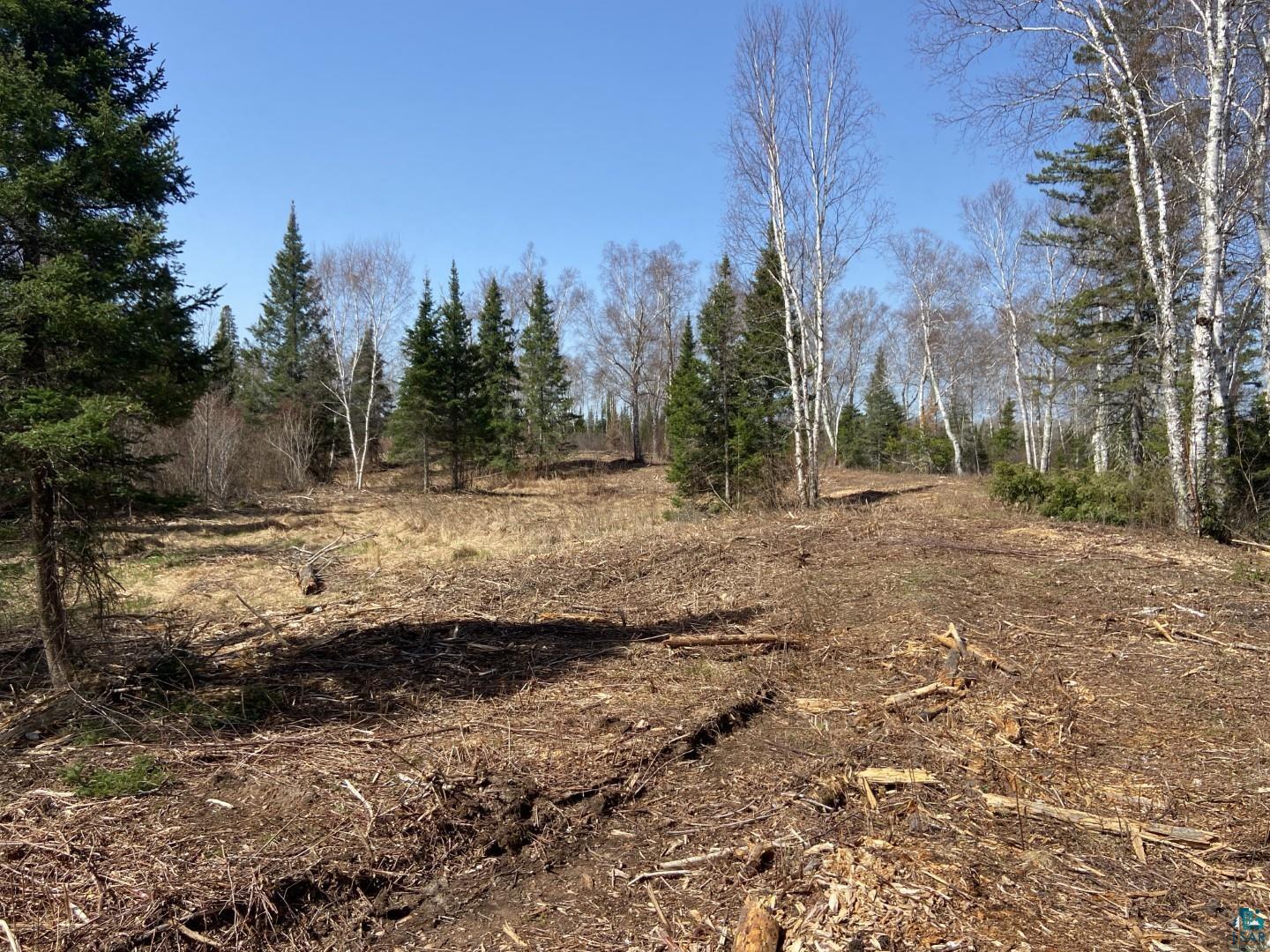 2102-6 N Bear Lake Rd, Brimson, MN 55602 Listing Photo  3