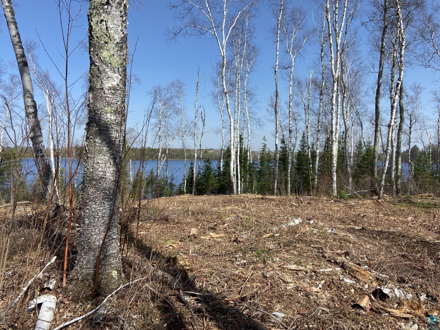 2102-7 N Bear Lake Rd, Brimson, MN 55602 Listing Photo  2