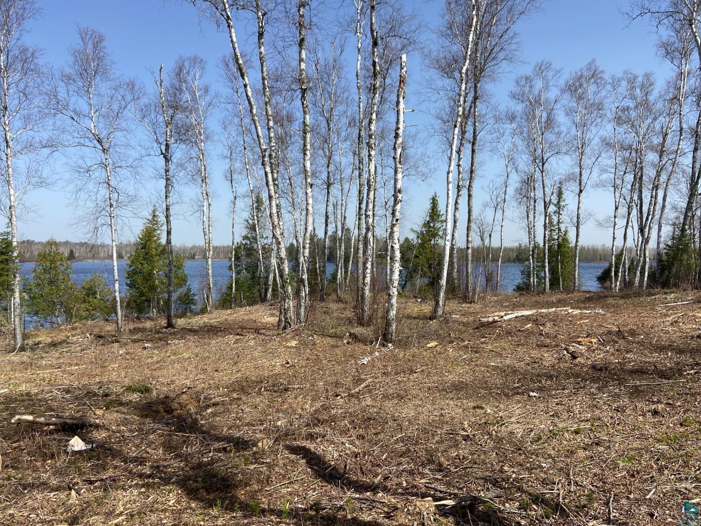 2102-9 N Bear Lake Rd, Brimson, MN 55602 Listing Photo  3