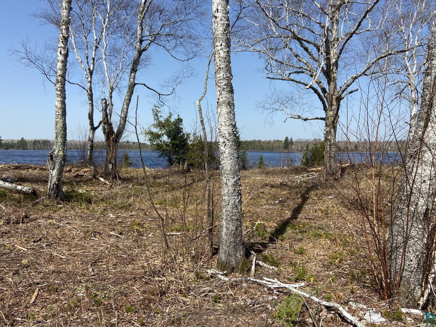 2102-11 N Bear Lake Rd, Brimson, MN 55602 Listing Photo  3