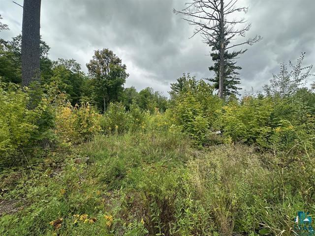 TBD Hwy 45, Cloquet, MN 55720 Listing Photo  1