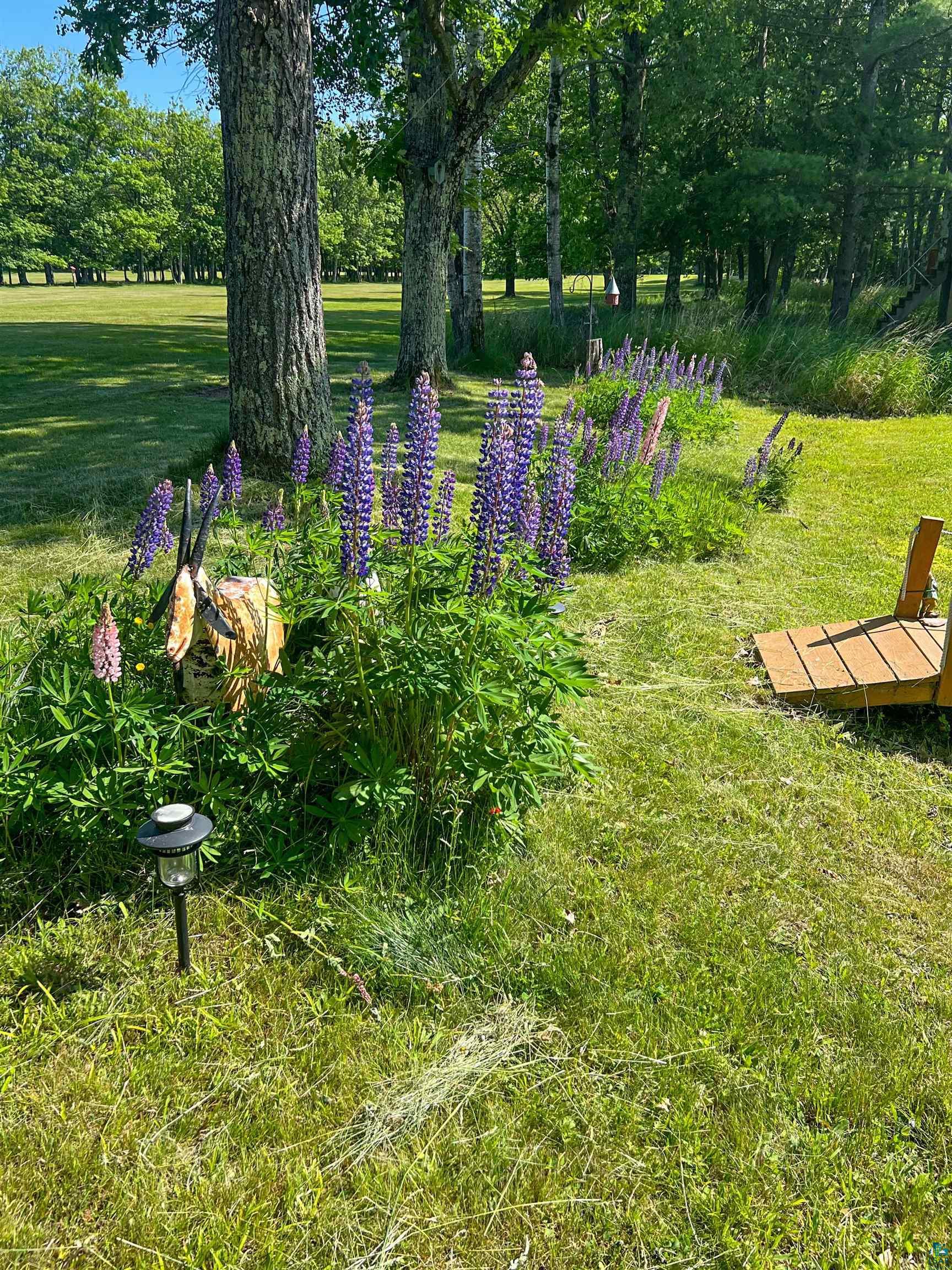 440 Bojo Ln, LaPointe, WI 54850 Listing Photo  37