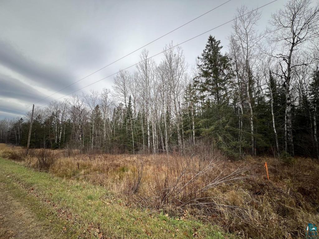 TBD Townline Rd, Hibbing, MN 55746 Listing Photo  2