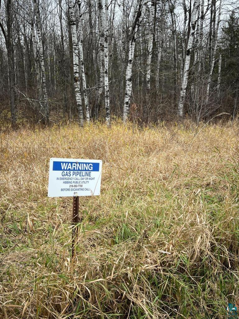 TBD Townline Rd, Hibbing, MN 55746 Listing Photo  4