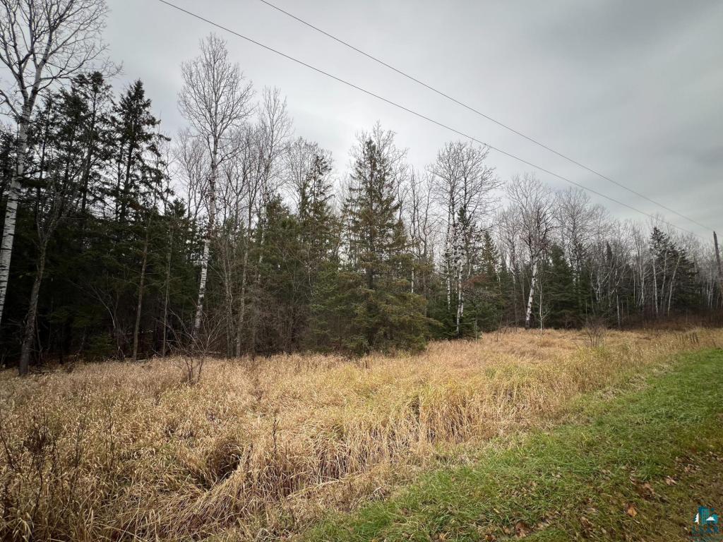 TBD Townline Rd, Hibbing, MN 55746 Listing Photo  5
