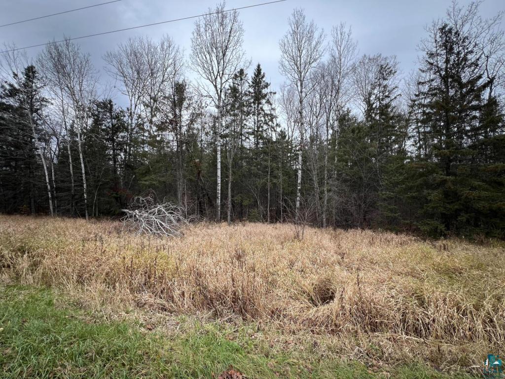 TBD Townline Rd, Hibbing, MN 55746 Listing Photo  6