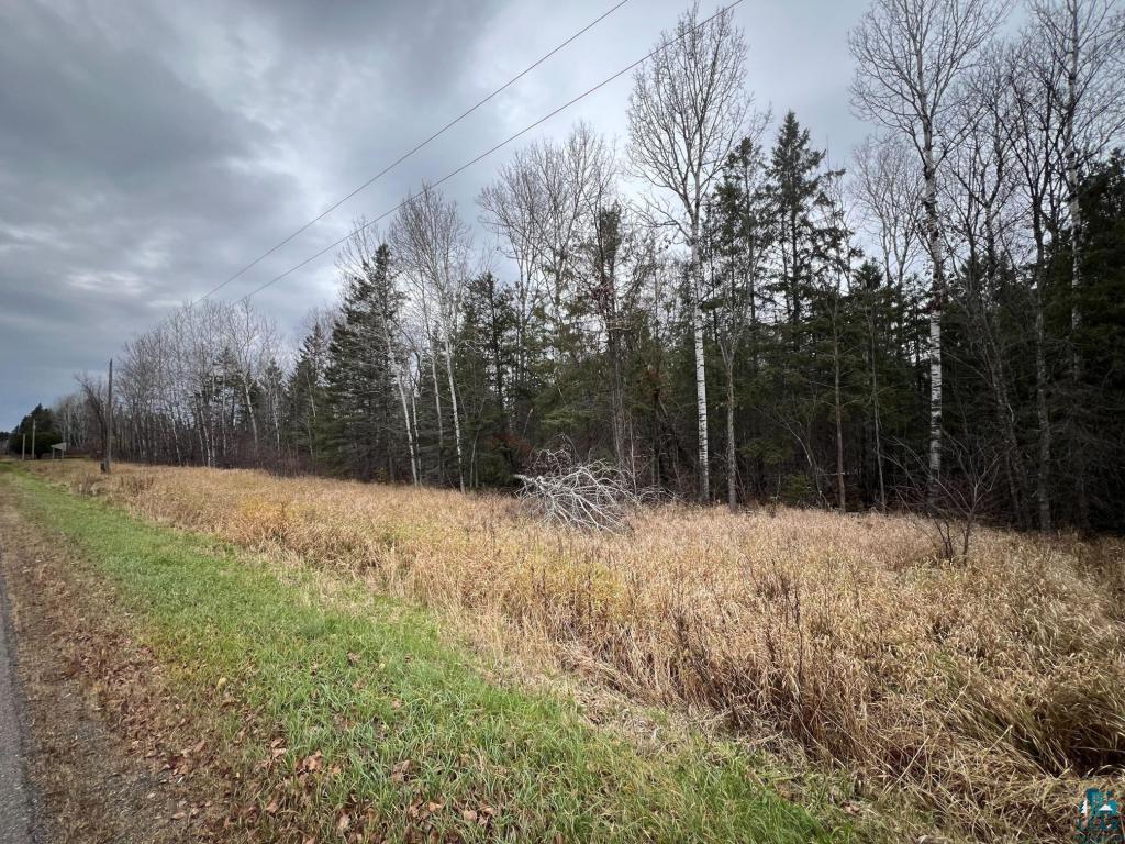 TBD Townline Rd, Hibbing, MN 55746 Listing Photo  7