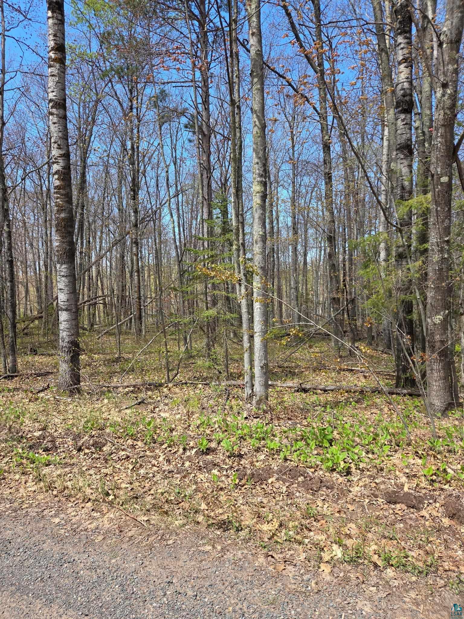 17--- Short Cut Rd, Herbster, WI 54844 Listing Photo  4
