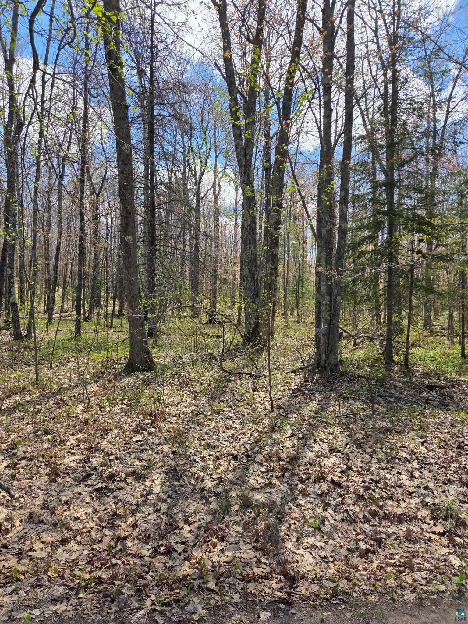 17--- Short Cut Rd, Herbster, WI 54844 Listing Photo  8