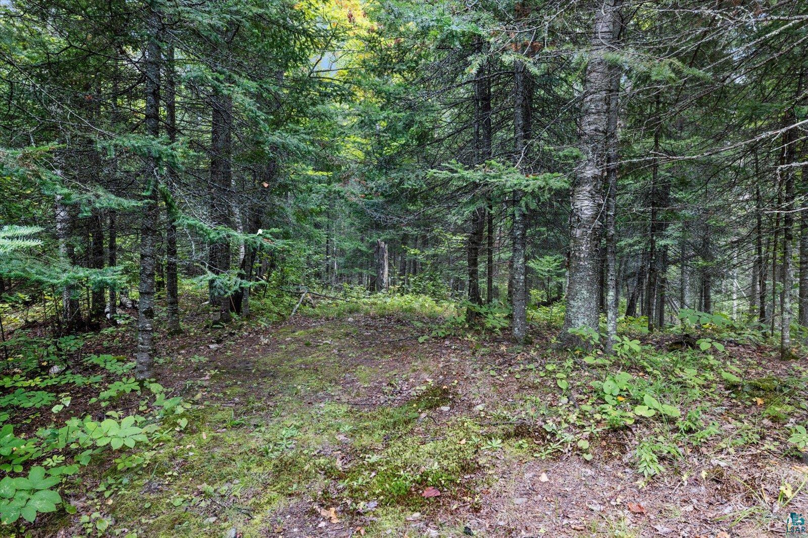 7885 Lake Fourteen Rd, Britt, MN 55710 Listing Photo  27