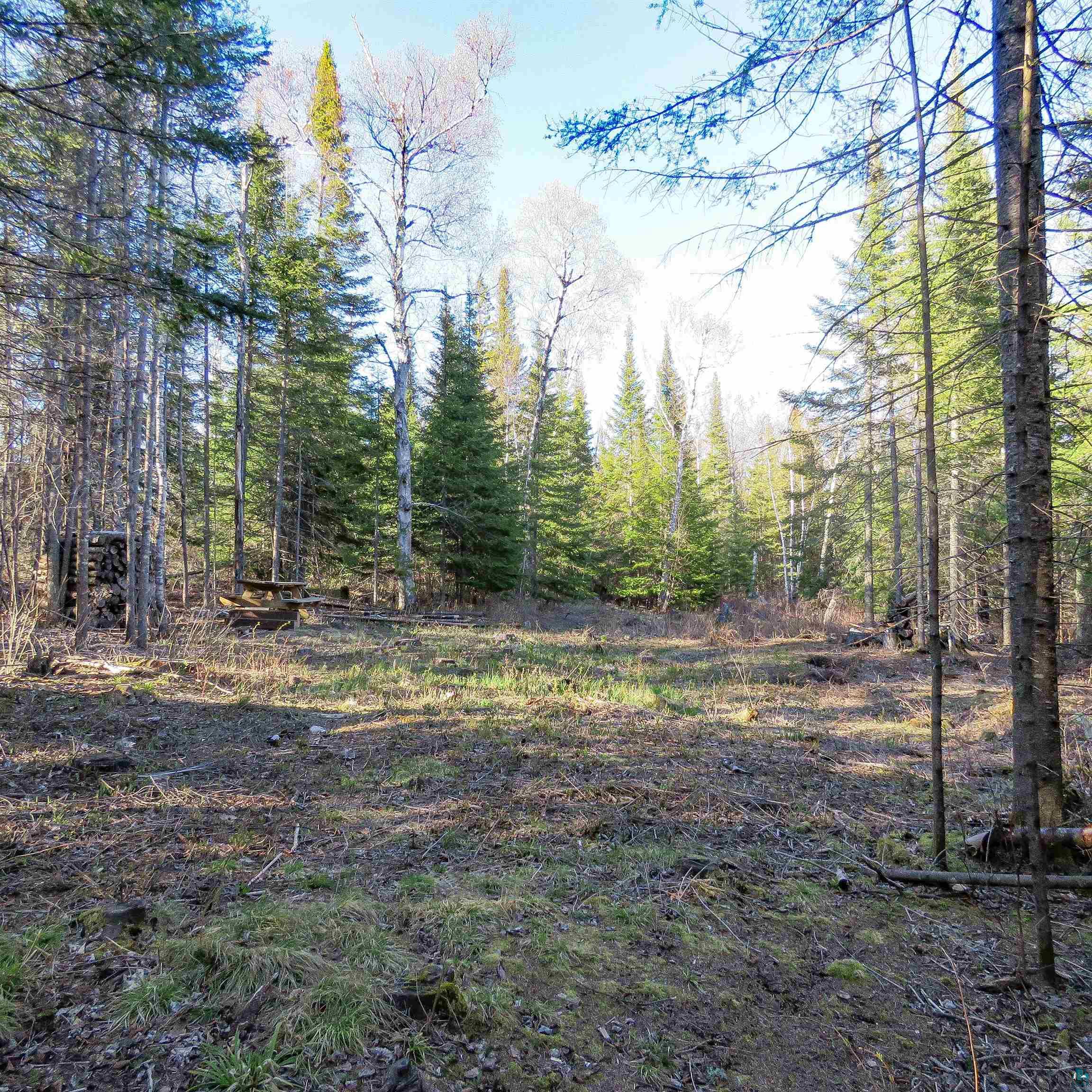 435 Cramer Rd, Schroeder, MN 55614 Listing Photo  1