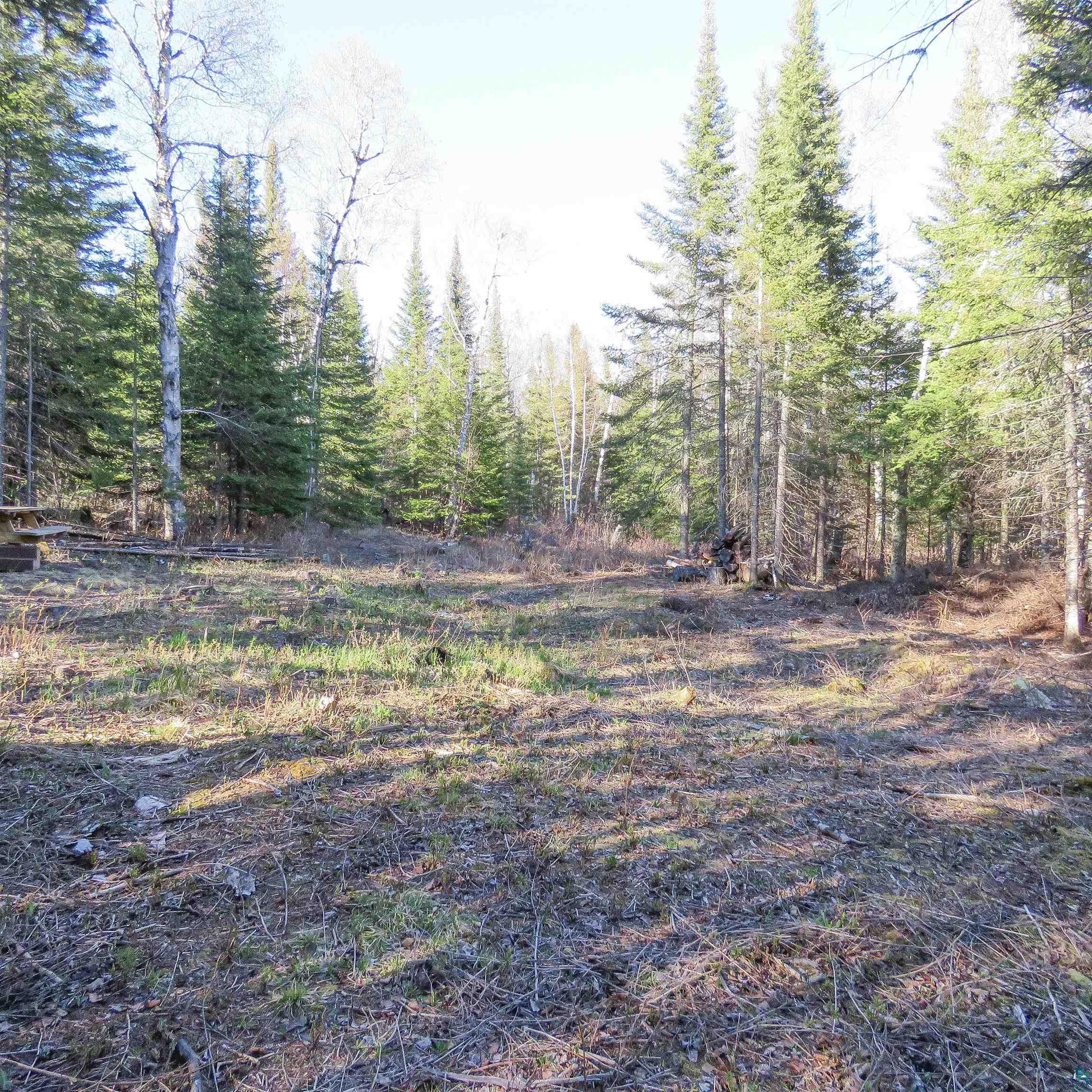435 Cramer Rd, Schroeder, MN 55614 Listing Photo  2