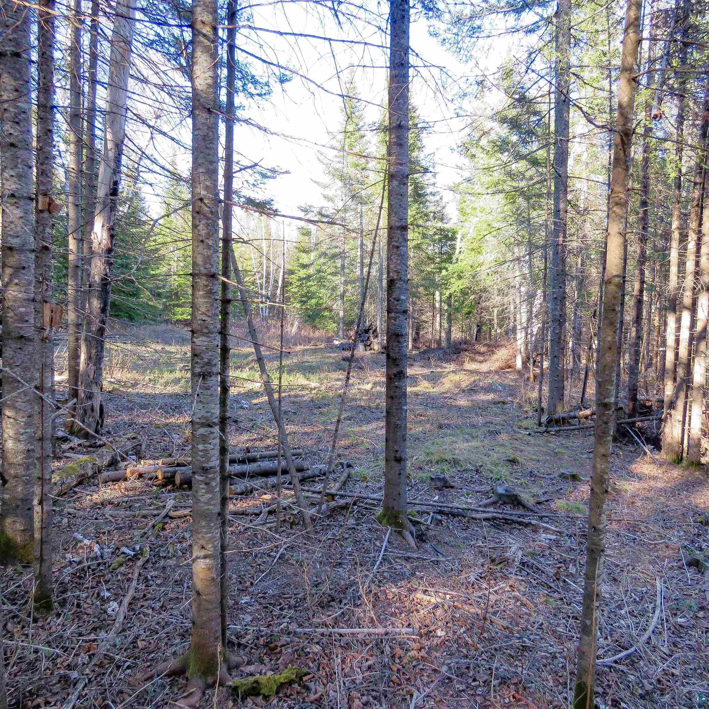 435 Cramer Rd, Schroeder, MN 55614 Listing Photo  13