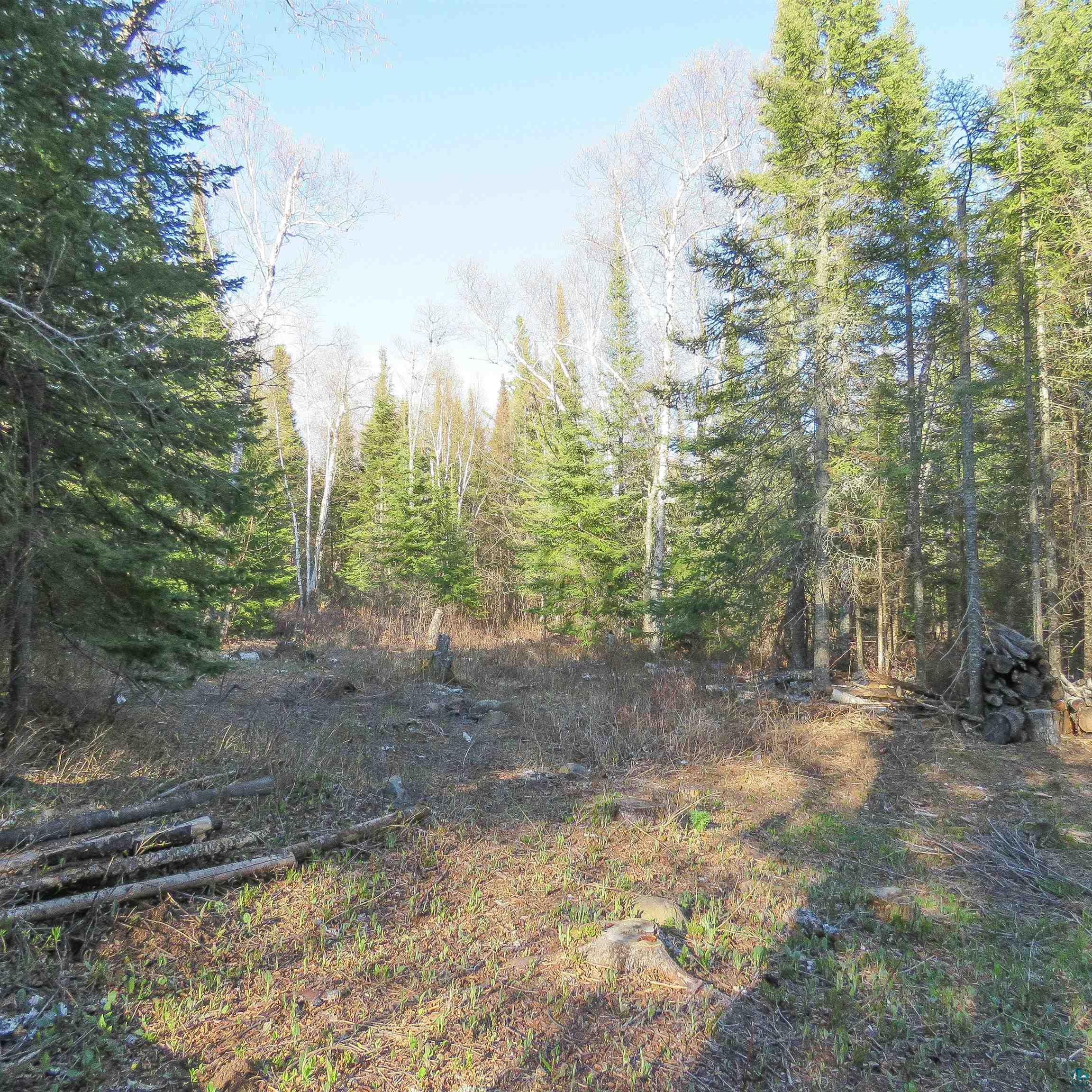 435 Cramer Rd, Schroeder, MN 55614 Listing Photo  14
