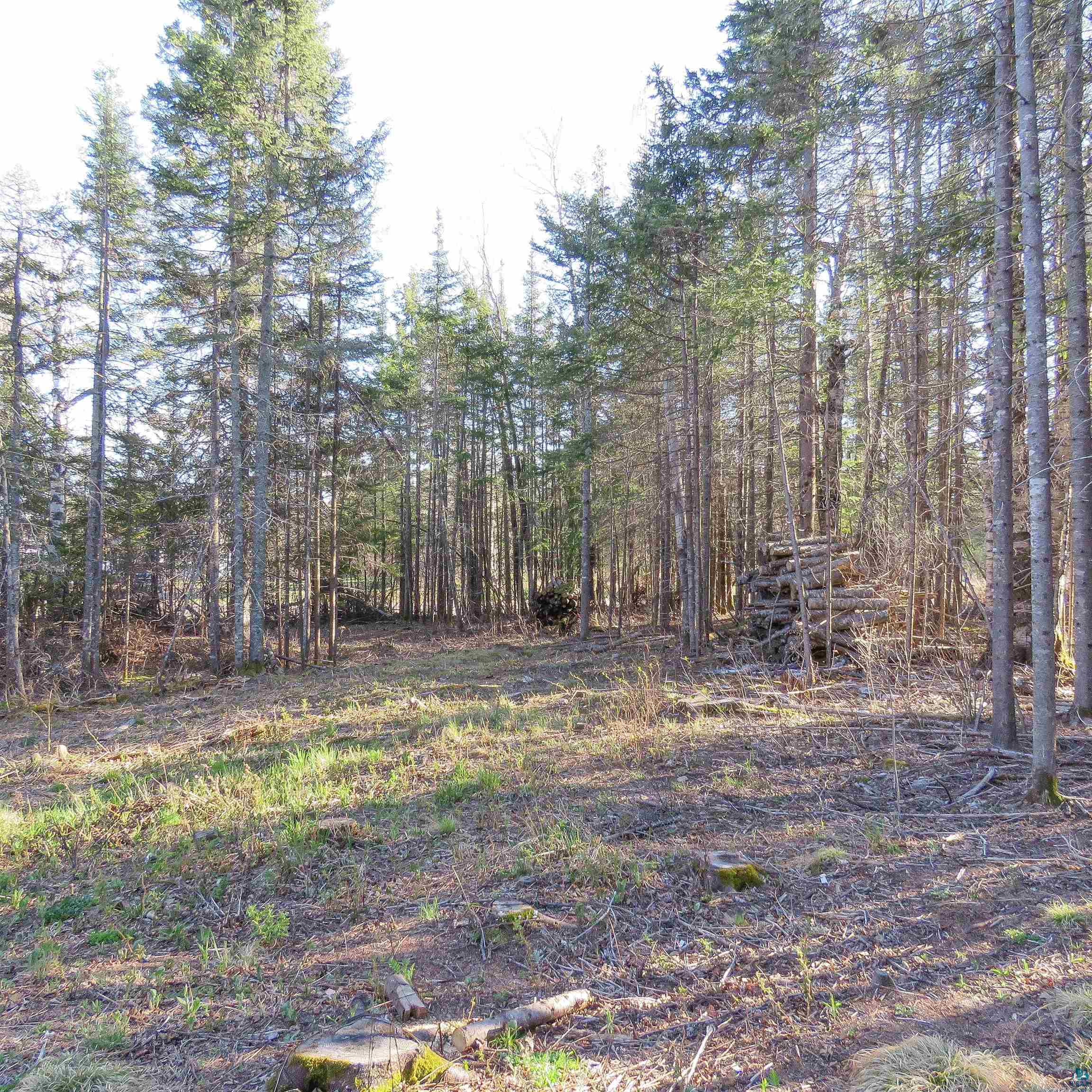 435 Cramer Rd, Schroeder, MN 55614 Listing Photo  15