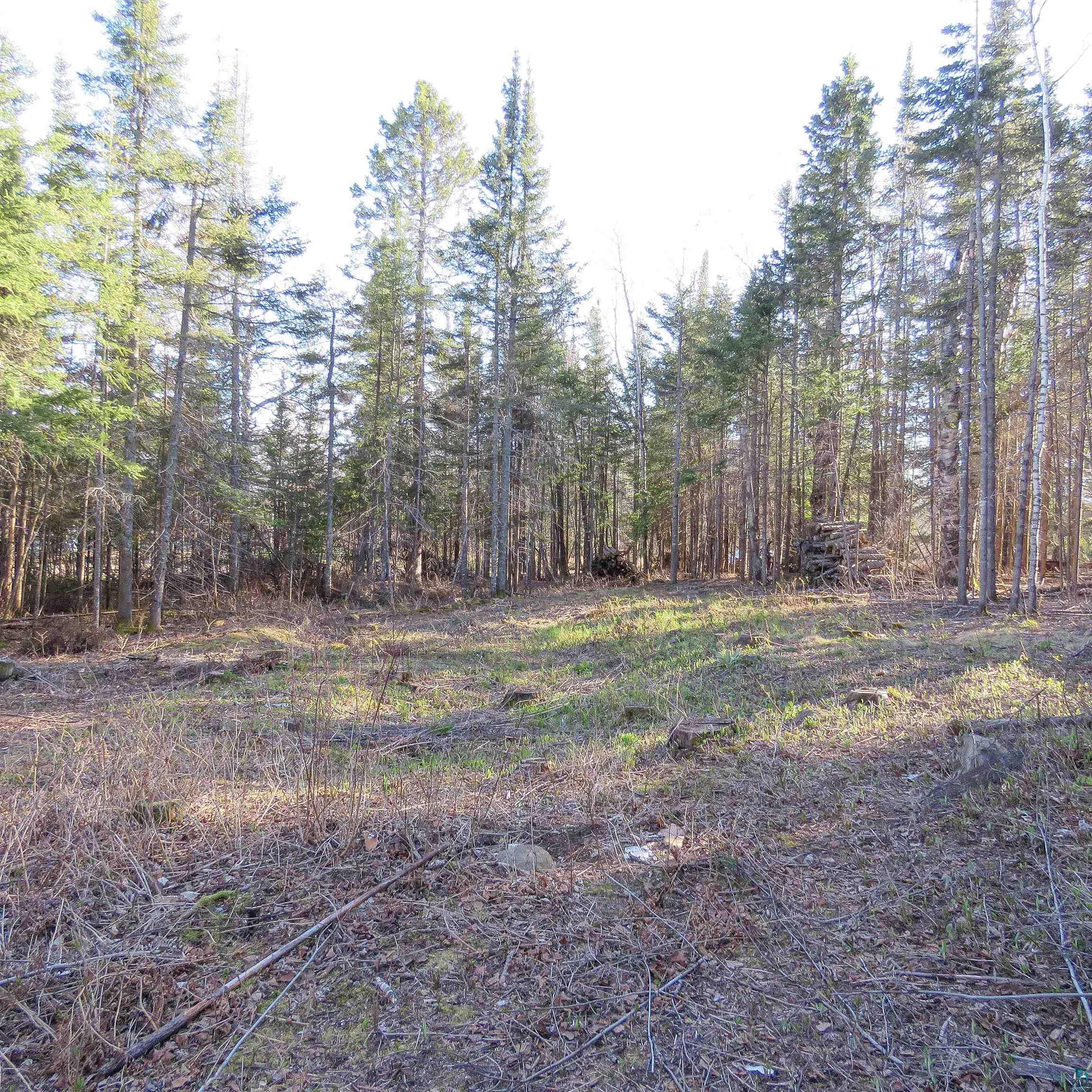 435 Cramer Rd, Schroeder, MN 55614 Listing Photo  16