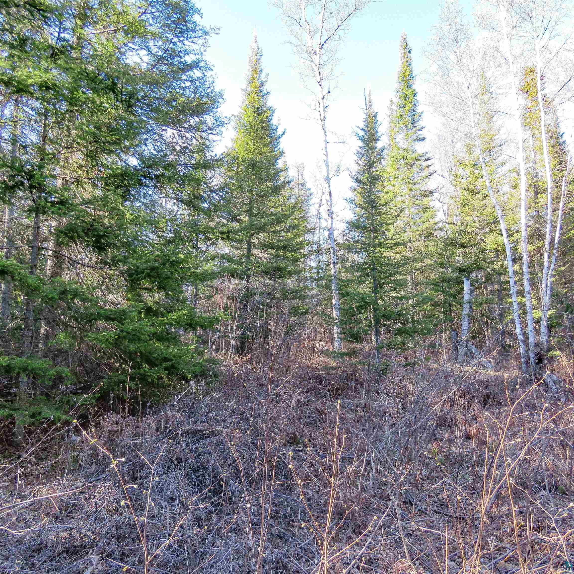 435 Cramer Rd, Schroeder, MN 55614 Listing Photo  18