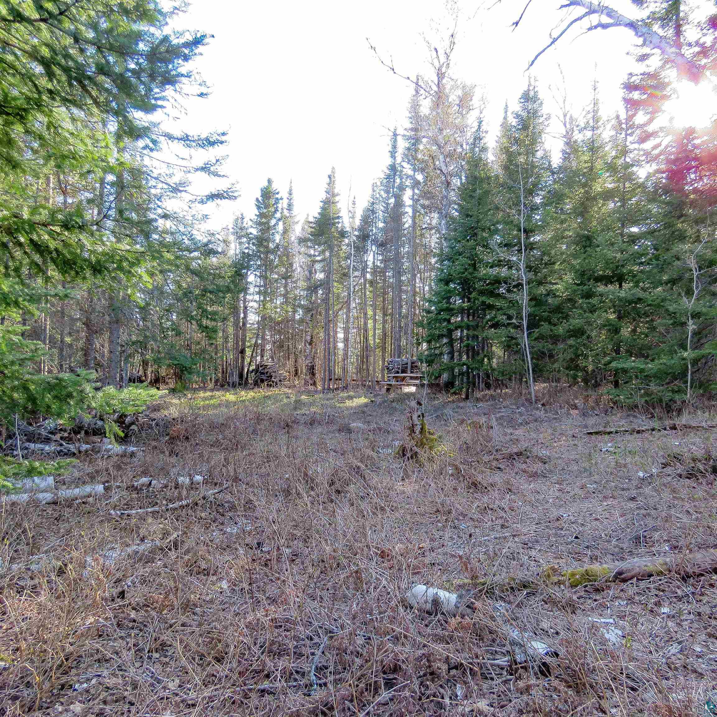 435 Cramer Rd, Schroeder, MN 55614 Listing Photo  20