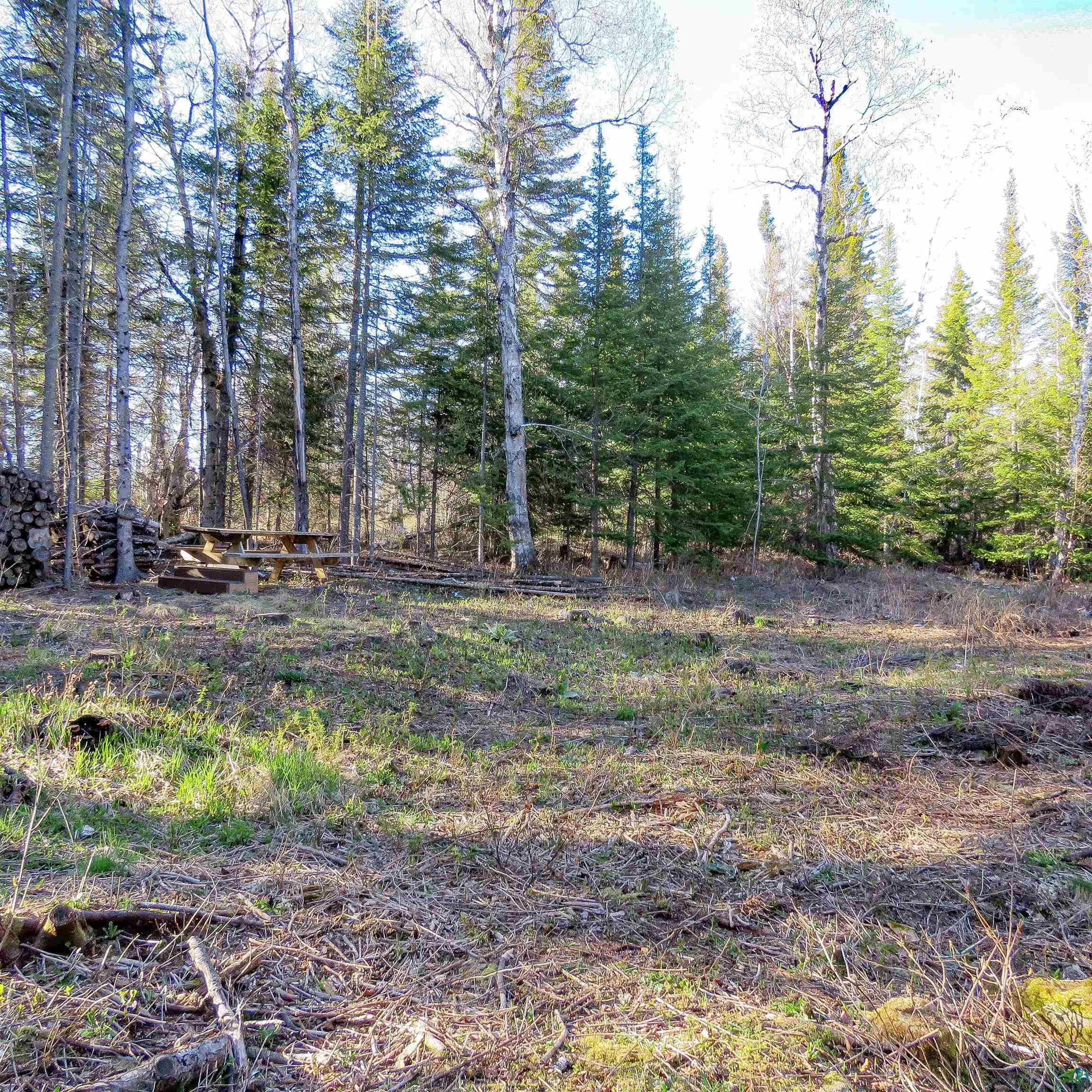 435 Cramer Rd, Schroeder, MN 55614 Listing Photo  3