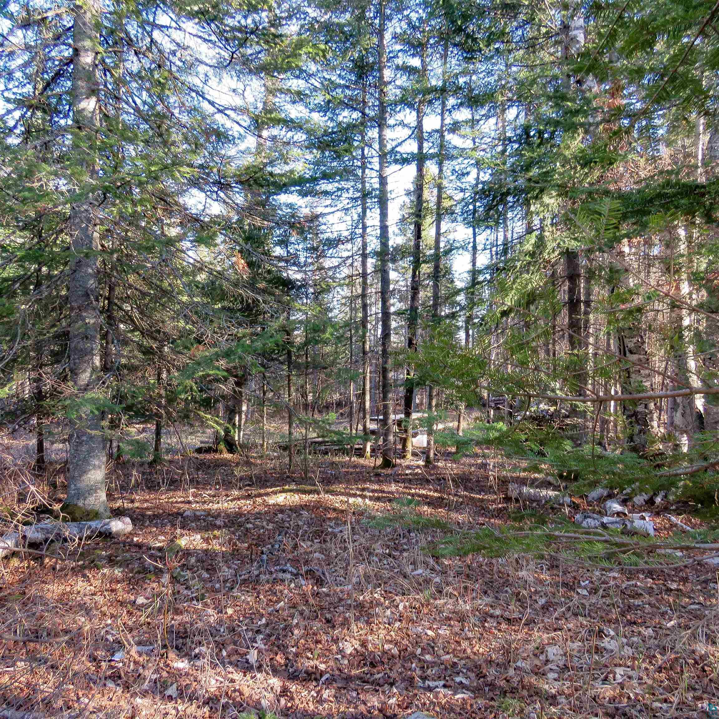 435 Cramer Rd, Schroeder, MN 55614 Listing Photo  22