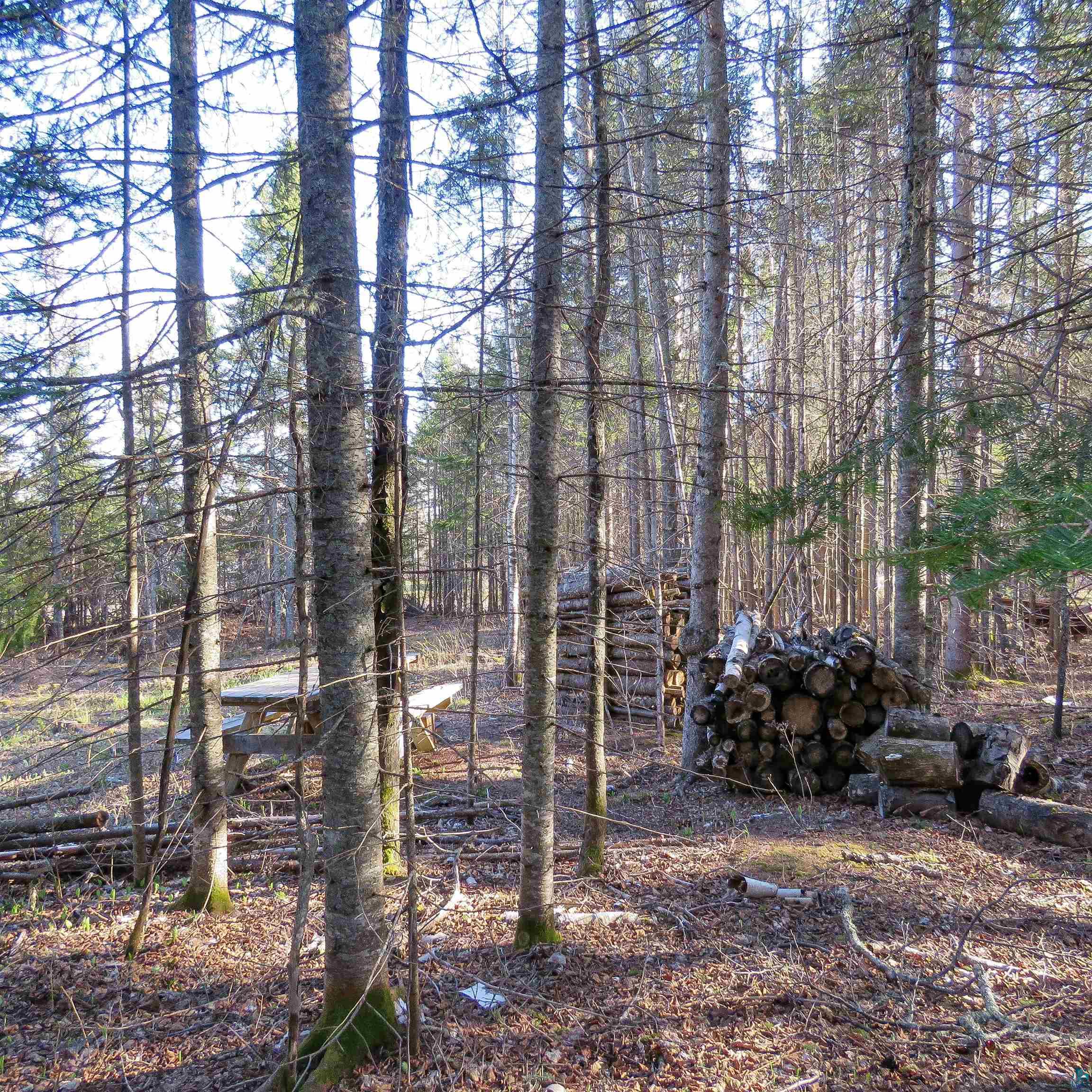 435 Cramer Rd, Schroeder, MN 55614 Listing Photo  23